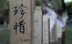 珍惜资源的演讲稿最新8篇