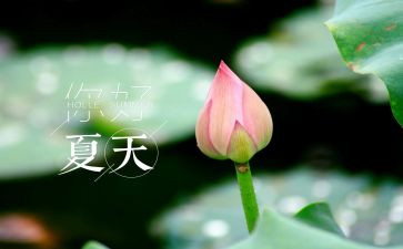 夏天夏天的演讲稿7篇