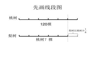 线段的认识教案6篇