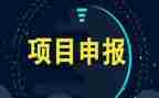 项目管理师述职报告6篇