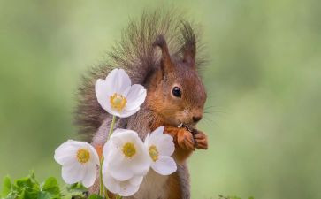 狼的微笑演讲稿优质6篇