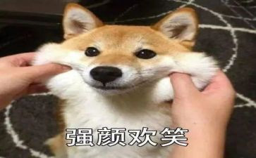 的笑作文600字6篇