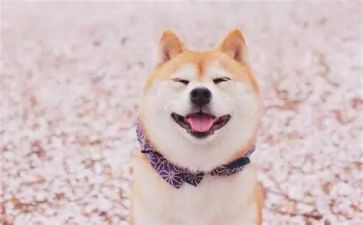 微笑的服务演讲稿参考8篇