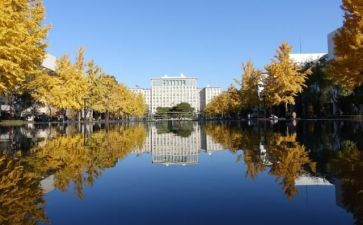 学校内部审计工作总结5篇