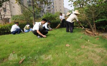 小区保洁工作总结个人总结6篇