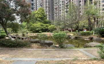调查小区环境作文5篇