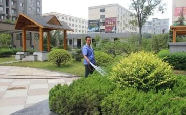 小区物业保洁月工作总结5篇