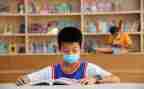 2024小学副校长个人述职报告6篇