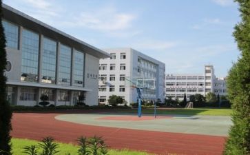 校园环保活动心得体会6篇