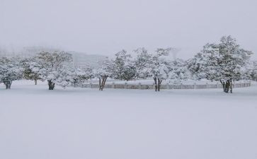 小班下雪了教案5篇