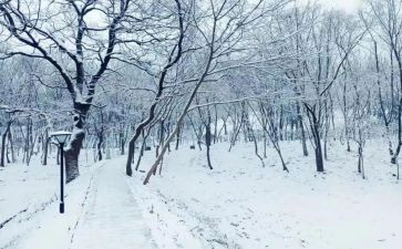 下雪了教案5篇
