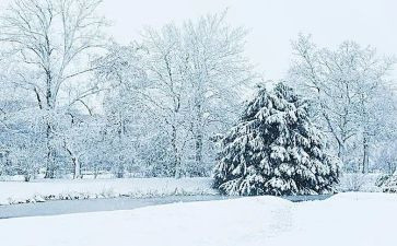 下雪天教案精选8篇