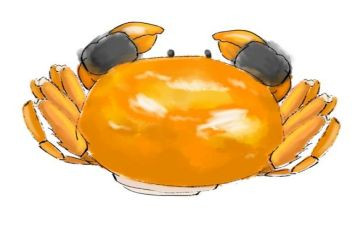 幼儿园画螃蟹教案7篇
