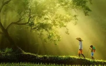 心灵演讲稿范文8篇