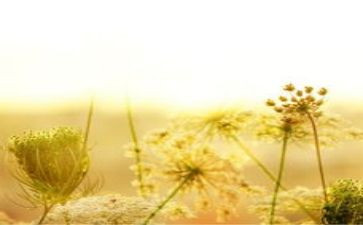 心灵的演讲稿精选6篇