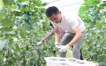2024年新农保工作总结8篇