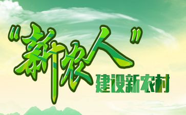 2024年新农保工作总结最新7篇