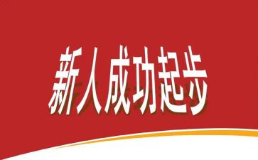 新人入职的工作总结6篇