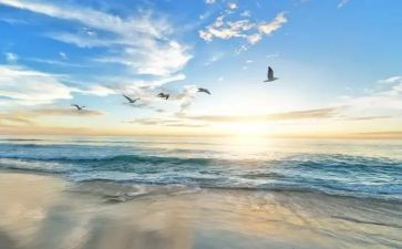 信心是胜利的号角作文6篇