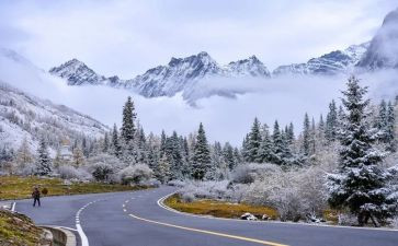 春雪教案8篇