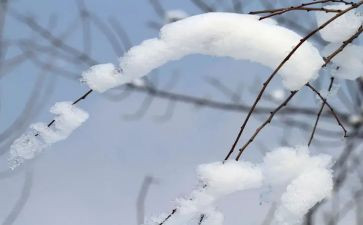 大班雪房子教案反思6篇