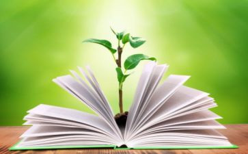 信息技术期末教学工作总结6篇