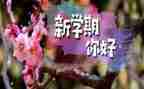 学期心得体会200字6篇