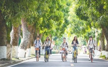 学生会年度个人总结最新7篇