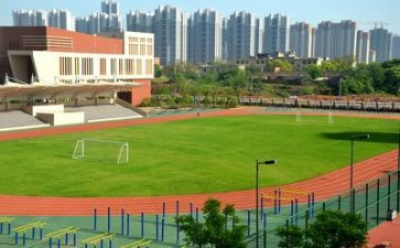 学校情主题活动总结6篇