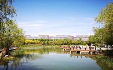在学校实习的工作总结精选5篇