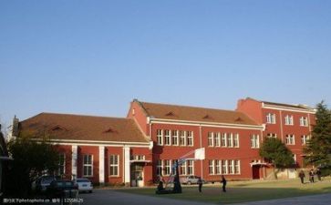 学校财务个人总结范文8篇
