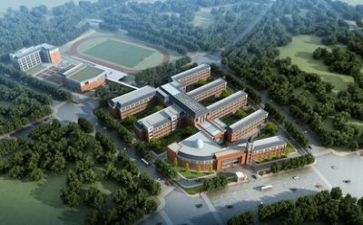 学校教师总结报告6篇