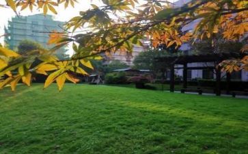 学校以安全工作计划最新8篇