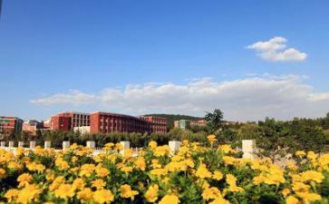学校教师辞职报告范文5篇