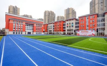 学校日工作总结模板5篇