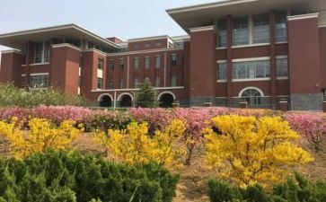 学校安全处工作总结7篇
