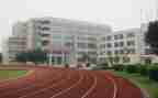 学校安全活动工作总结推荐6篇