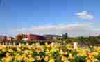 2024年学校培训计划优秀6篇