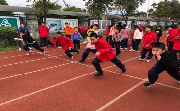个人学校体育工作总结7篇