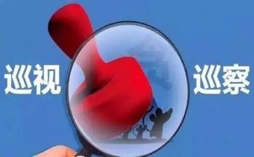 巡察组长述职述廉报告7篇