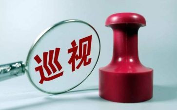 巡查组工作总结范文8篇