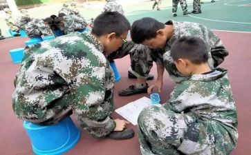 培训学校总结报告5篇