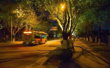 夜自习申请书6篇