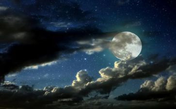 美丽夜景作文5篇