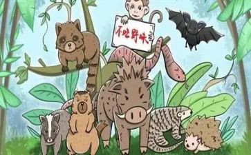 绝野味的演讲稿通用5篇