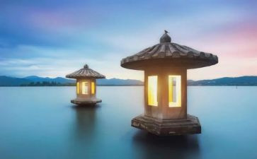 2024年义务植树活动总结6篇