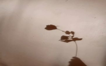 光和影子的教案精选6篇