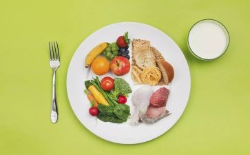 苍饮食的演讲稿模板6篇