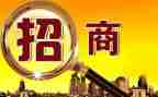 乡镇2024年招商引资工作总结7篇