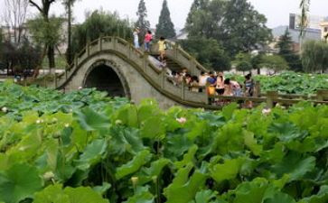 六一幼儿园游园活动方案精选5篇